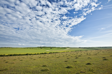 Grassland and sky (c) Guy Edwardes/2020VISION