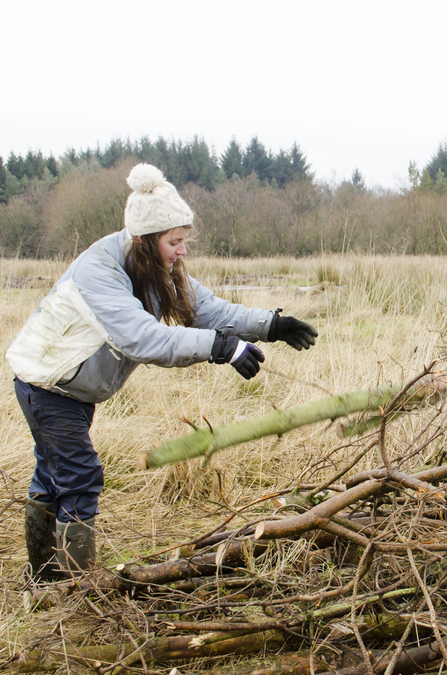 Woman building hibernaculum