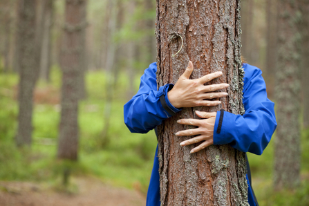 Tree hugger (c) Mark Hamblin/2020VISION