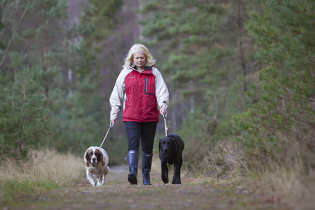 Dog walk (c) Peter Cairns/2020VISION