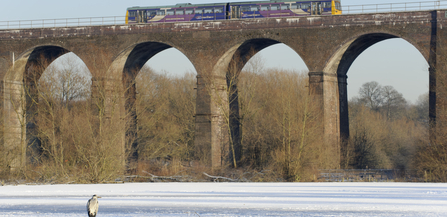 northern rail train on viaduct, manchester