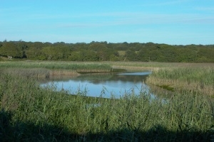 South and West Wales