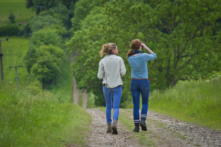 Wild Walk © Matthew Roberts