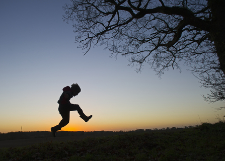boy wildlife trust
