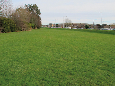 close mown green space