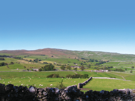yorkshire farm