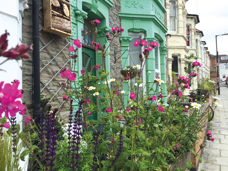 street with flowers