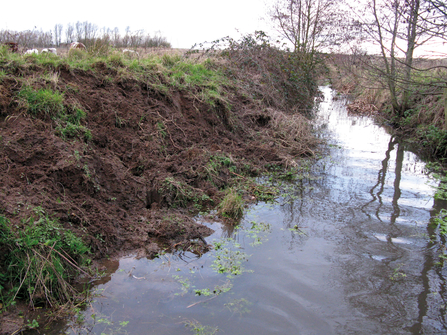 muddy riverbank with no foliage