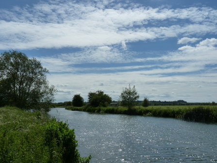 Chimney Meadows river