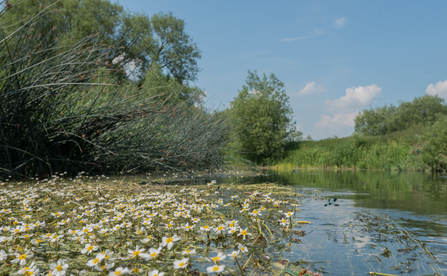 Duxford Old River