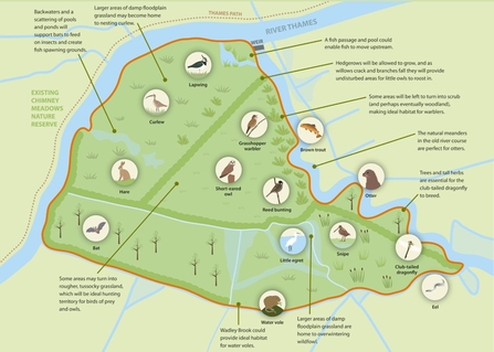 duxford old river wildlife map