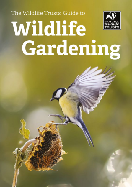 Wildlife Gardening The Wildlife Trusts