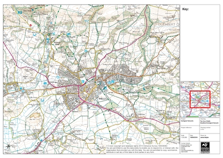 Ecological Network map of Wells (stage 1)