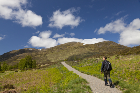 flod velsignelse Indtil nu Find a walk near you | The Wildlife Trusts