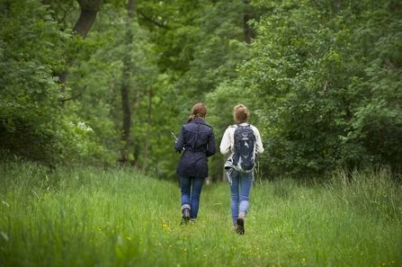Walking in Wareseley Wood (Matthew Roberts)