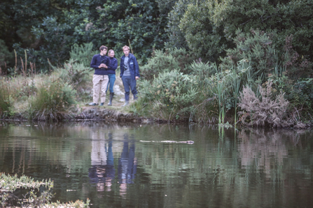 Beaver watching in Cornwall