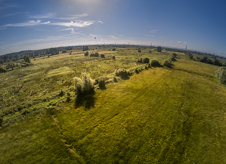 Gwent Levels landscape