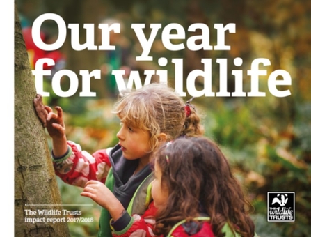 Annual Impact Report 2017-18