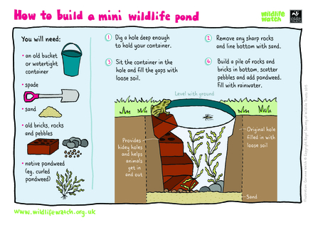 mini pond