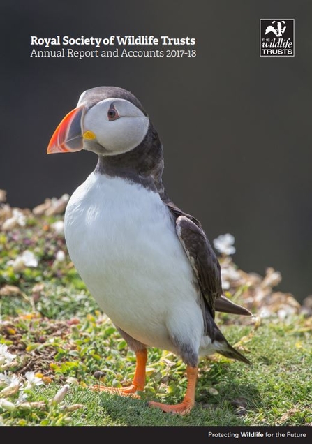 Publications | The Wildlife Trusts