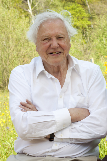 Sir David Attenborough