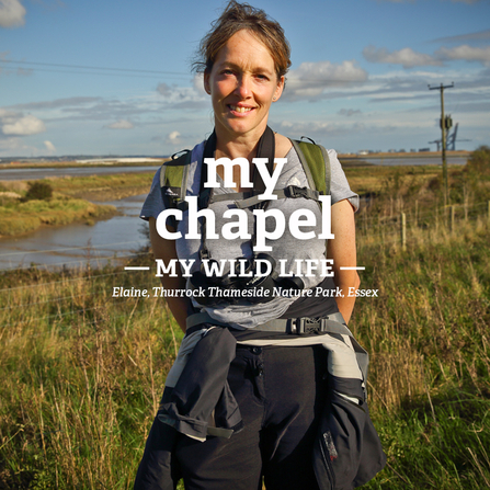 Elaine on a nature reserve