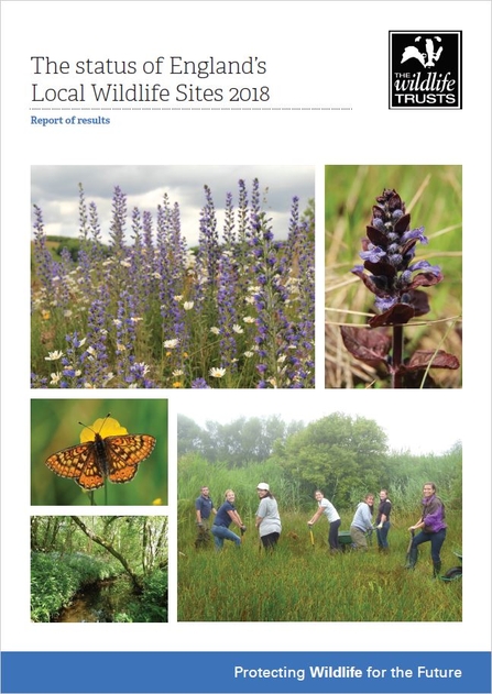 Local Wildlife Sites report 2018