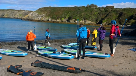 A group learning to paddleboard