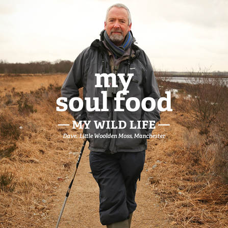Dave stands on a nature reserve