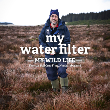 Duncan standing on a wetland