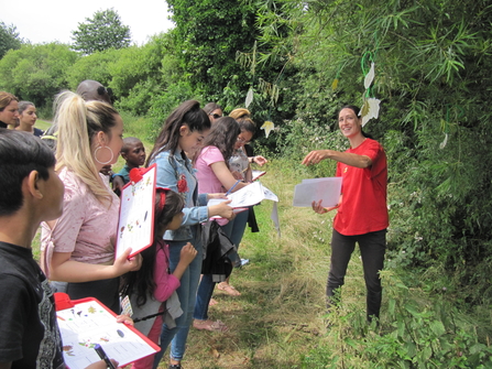 A group of young people look at wildlife cards 