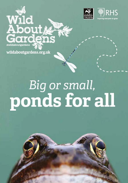 Wild About Gardens