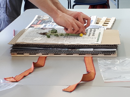 Preparing a plant press