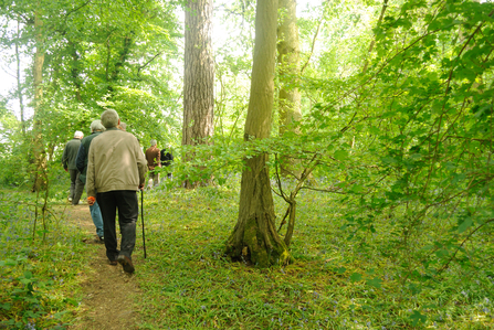 30 Days Wild care homes