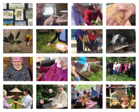 30 Days Wild Challenge Reaches New Record The Wildlife Trusts