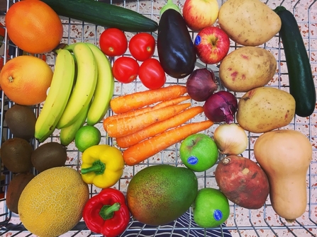 Plastic free groceries