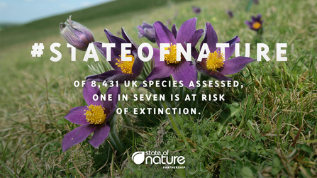 1 in 7 species are at risk of exinction