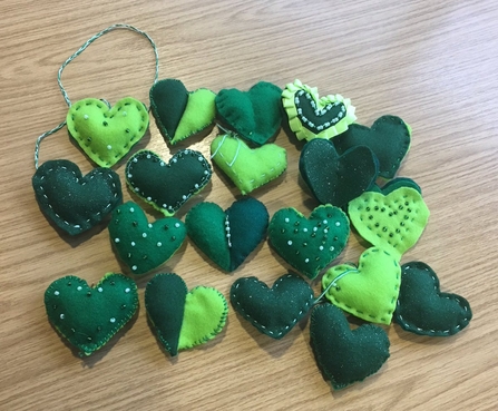 Show the Love green hearts