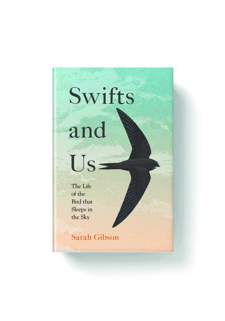 Swifts and us
