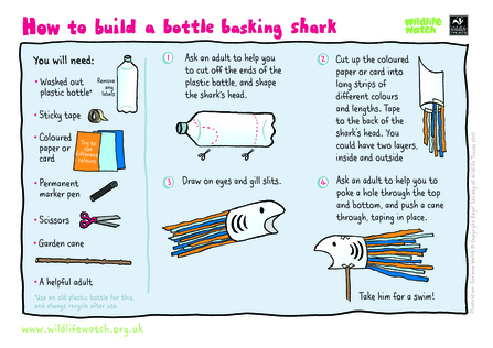 How to build a bottle basking shark