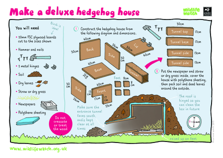 How to make a hedgehog home activity sheet