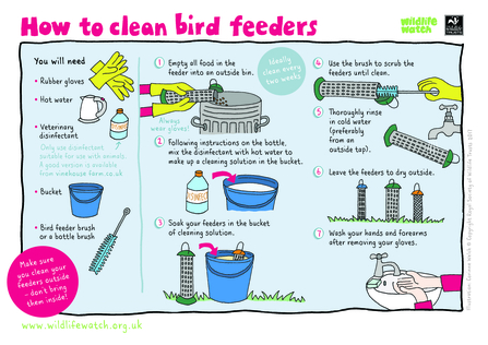 How to clean bird feeders activity sheet