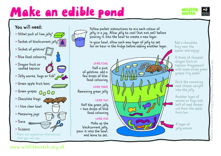 Make an edible pond activity sheet