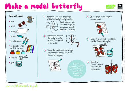 Make a model butterfly activity sheet