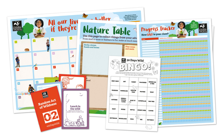 30 Days Wild Schools pack