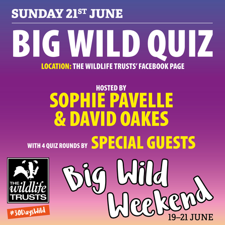 Big Wild Weekend - quiz