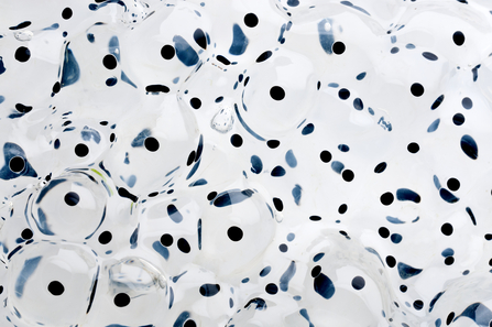Frog spawn