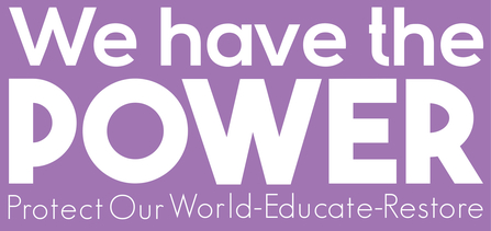 power logo