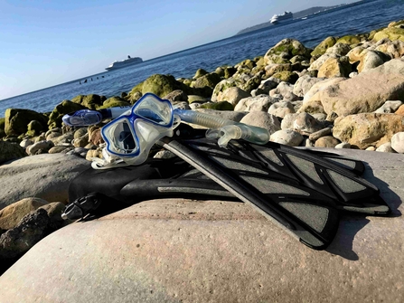 snorkle