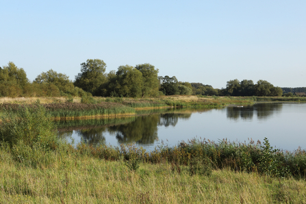 Ripon City Wetland
